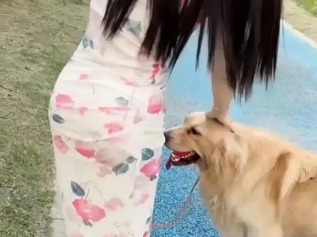 《抖音香香公主与爱犬金毛》高清完整版在线观看无广告-香香公主与金毛互动日常全收录-抖音直播回放免费网盘资源秒播-抖音香香公主与爱犬金毛全集吃瓜无删减